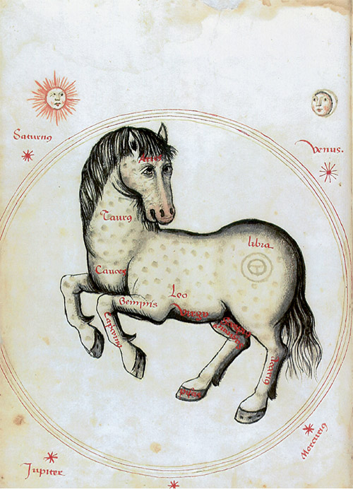 Manuel Díez: Caballo astrológico. Llibre de Menescalia, 1502. Barcelona, Biblioteca de Catalunya, ms. 1661, fol. 5v.