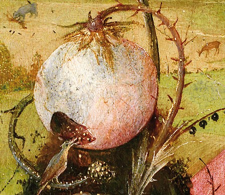 La misteriosa planta de las "Meditaciones de San Juan Bautista" de El Bosco. Museo Lázaro Galdiano